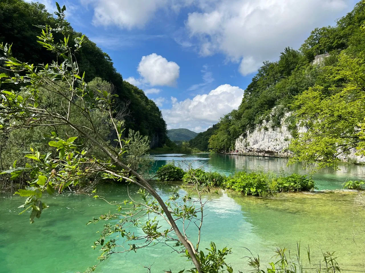 Turquoise terraced lakes and waterfalls surrounded by green forest at Plitvice Lakes National Park in summer